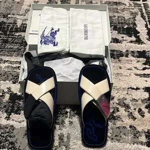 Burberry | Shoes | Mens Burberry Slides With Chrome Strap  display picture 1